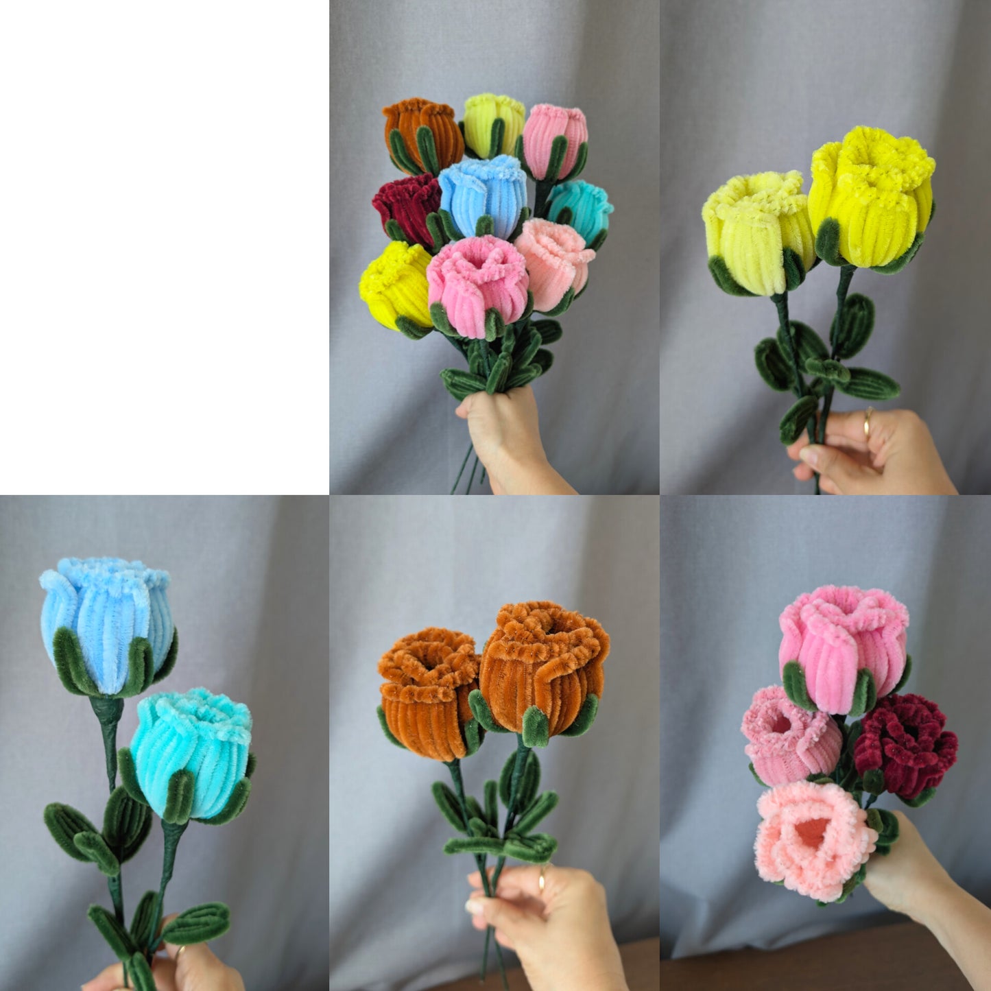 Garden Rose
