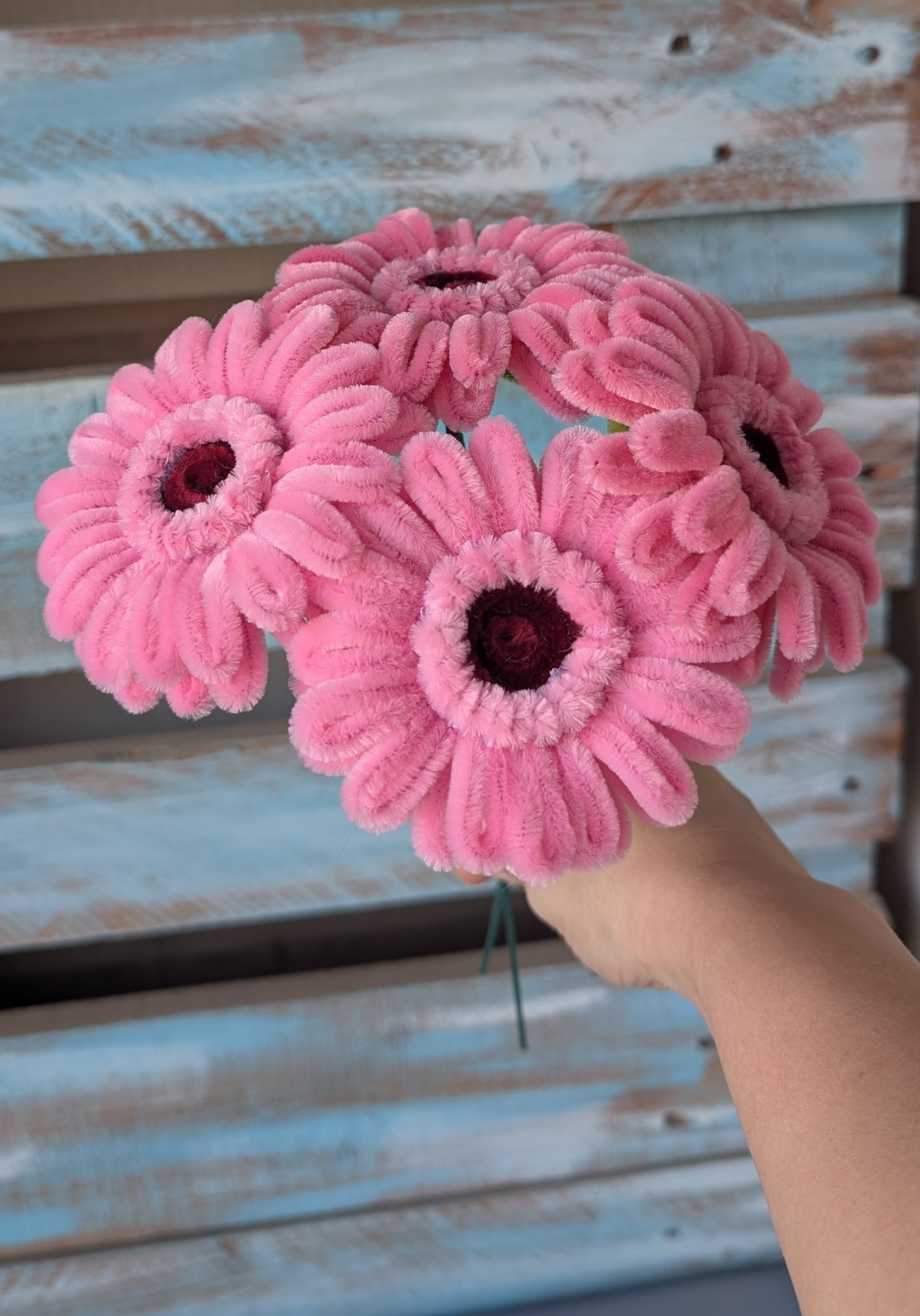 Graceful Gerbera