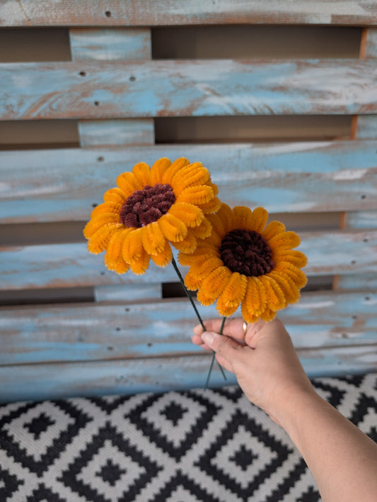 Warm Sunflower