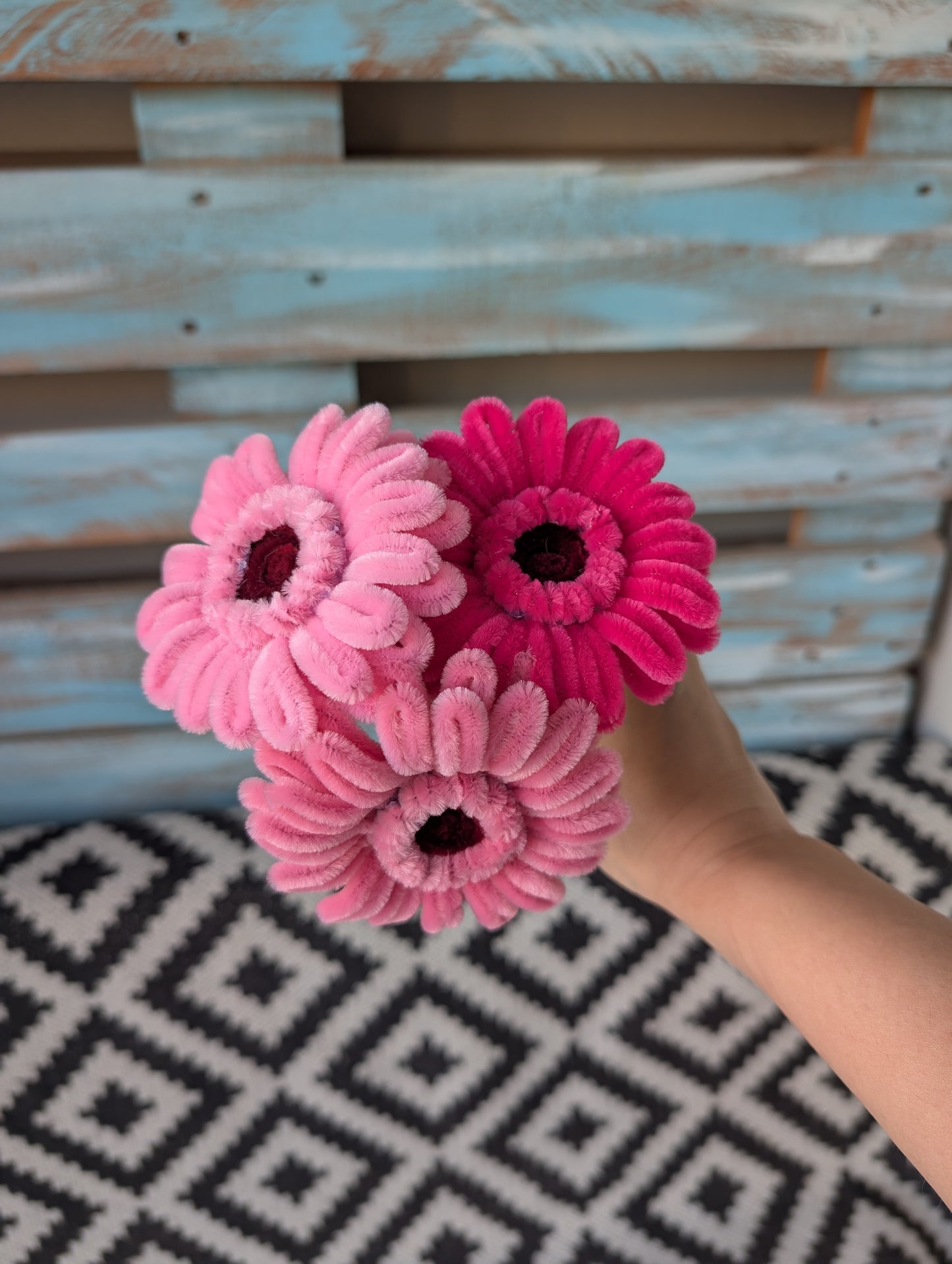 Graceful Gerbera