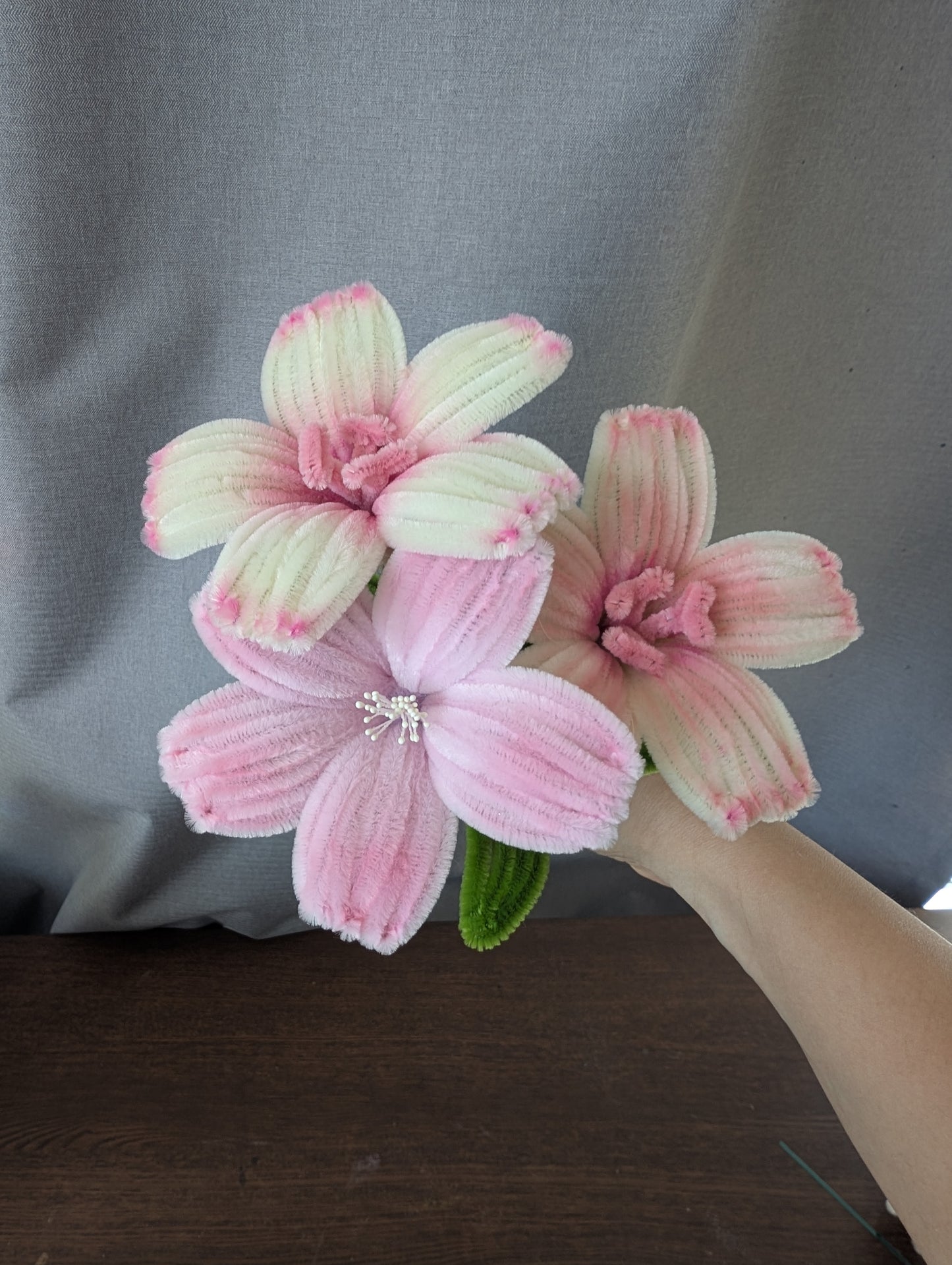 Lily