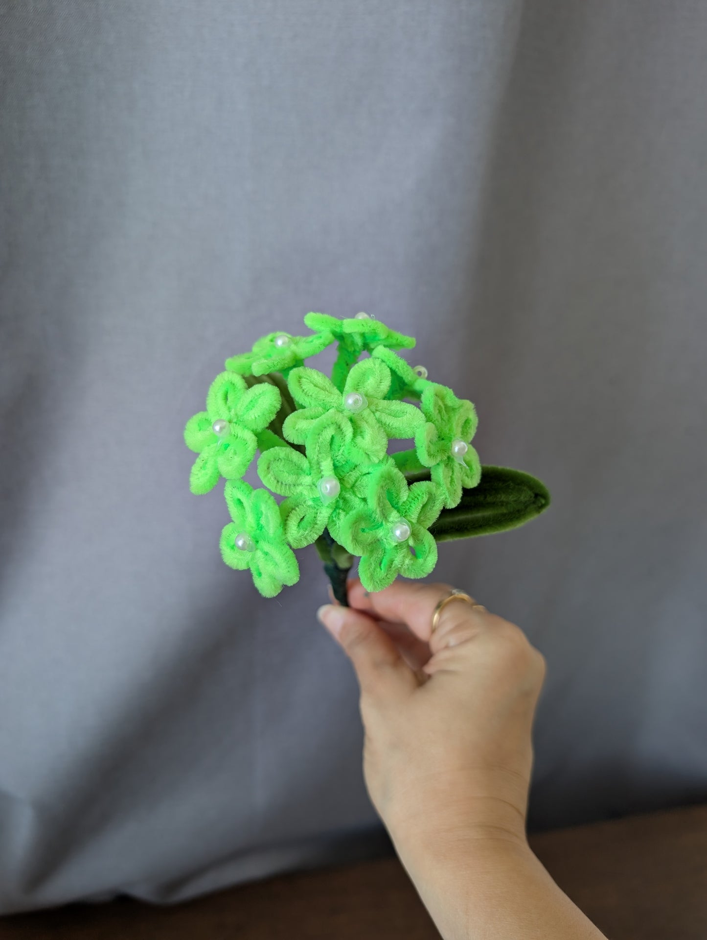 Hydrangea