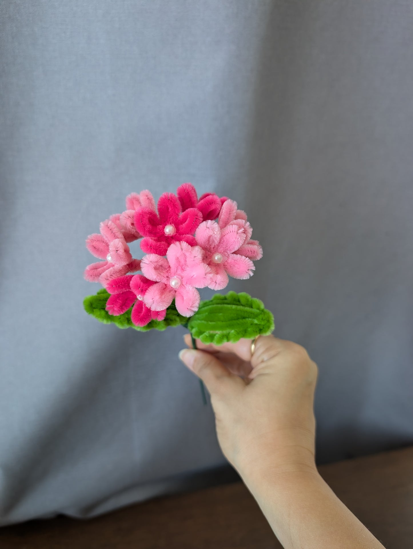 Hydrangea