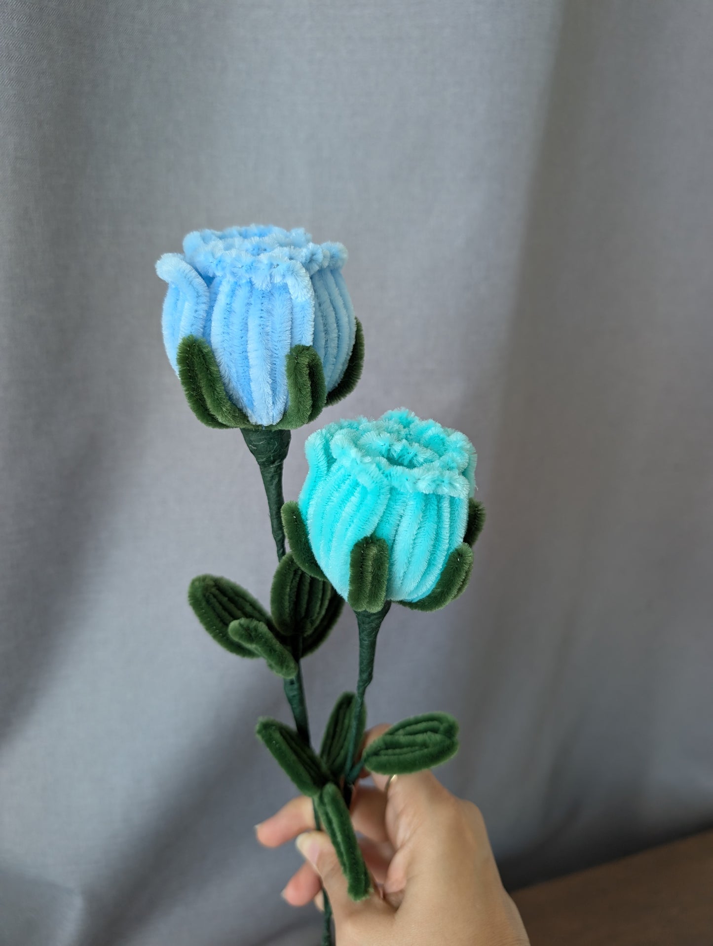Garden Rose