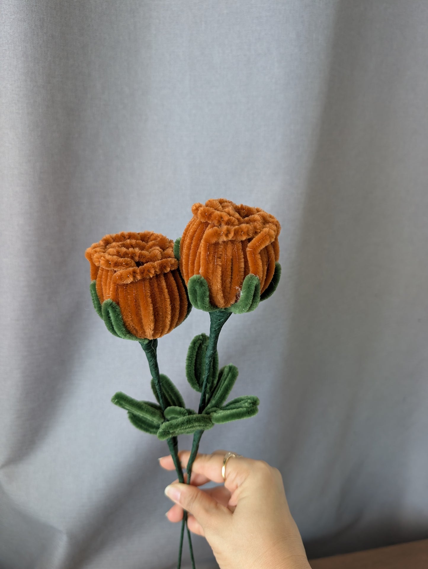 Garden Rose