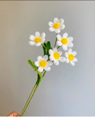 Cherry Blossom & Daisies